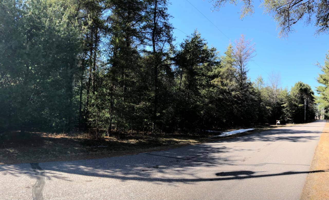 Woodruff, WI 54568,ON RAPPS RD #4.92 acr
