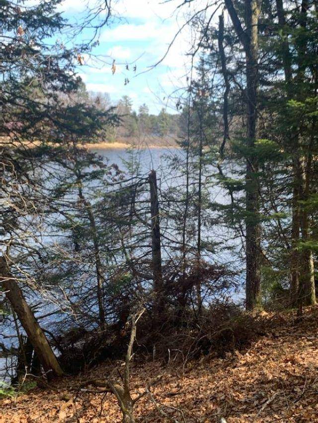 Tomahawk, WI 54487,Lt 4 Off THE POINT RD E
