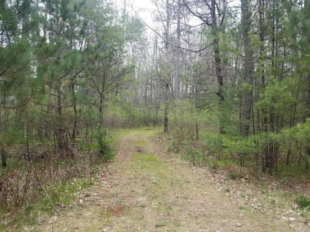 Minocqua, WI 54548,ON SANDY CT #Lot 1