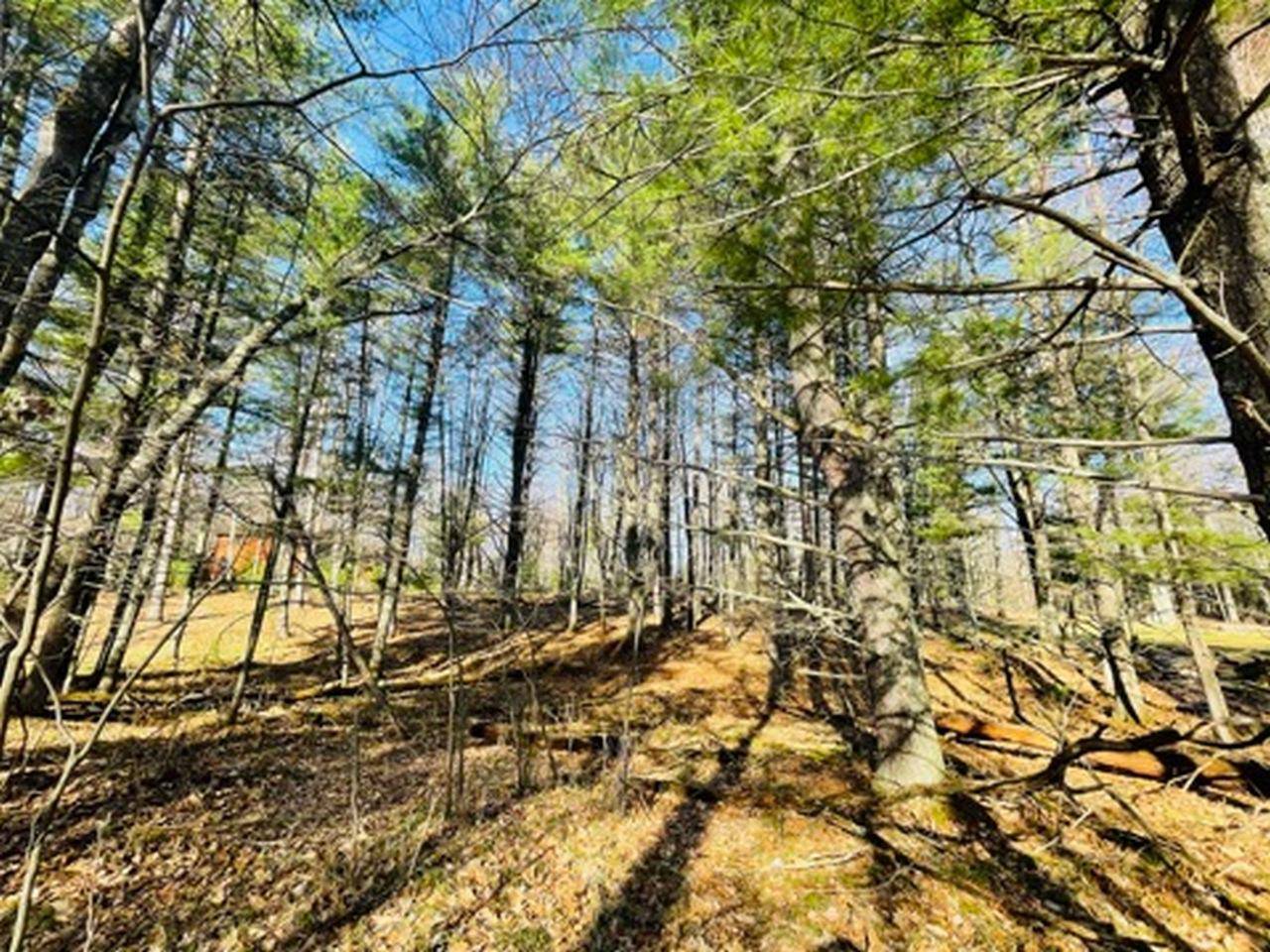 Minocqua, WI 54548,Lot 100 TRAILWOOD DR