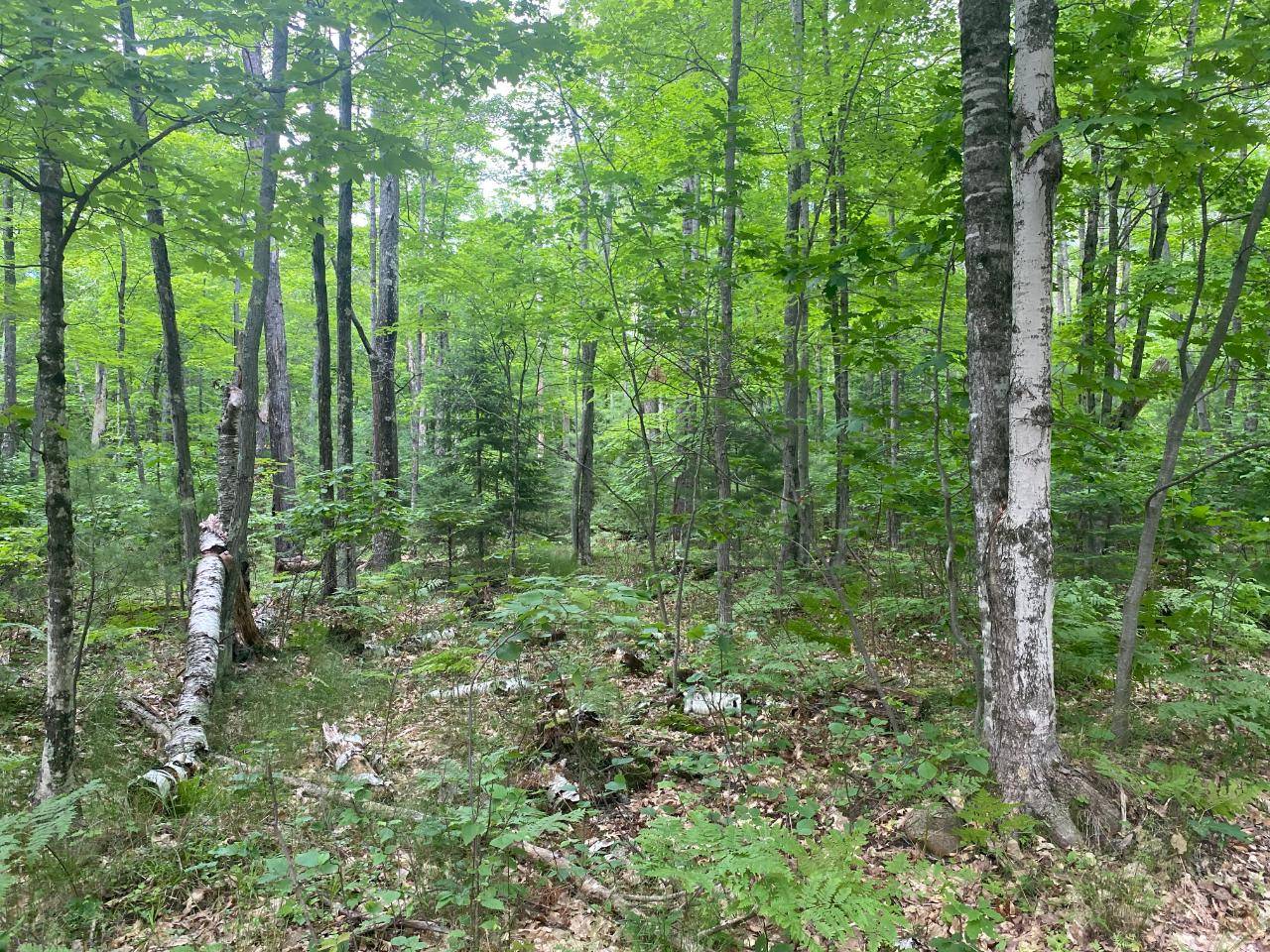 Three Lakes, WI 54521,ON HELEN LAKE RD #Lot 6