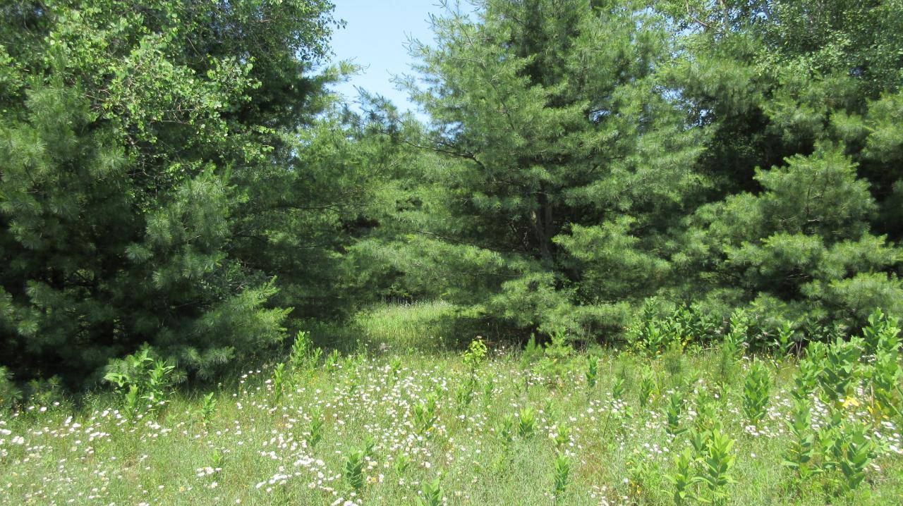 Rhinelander, WI 54501,Lots 1&2 BASIL LN