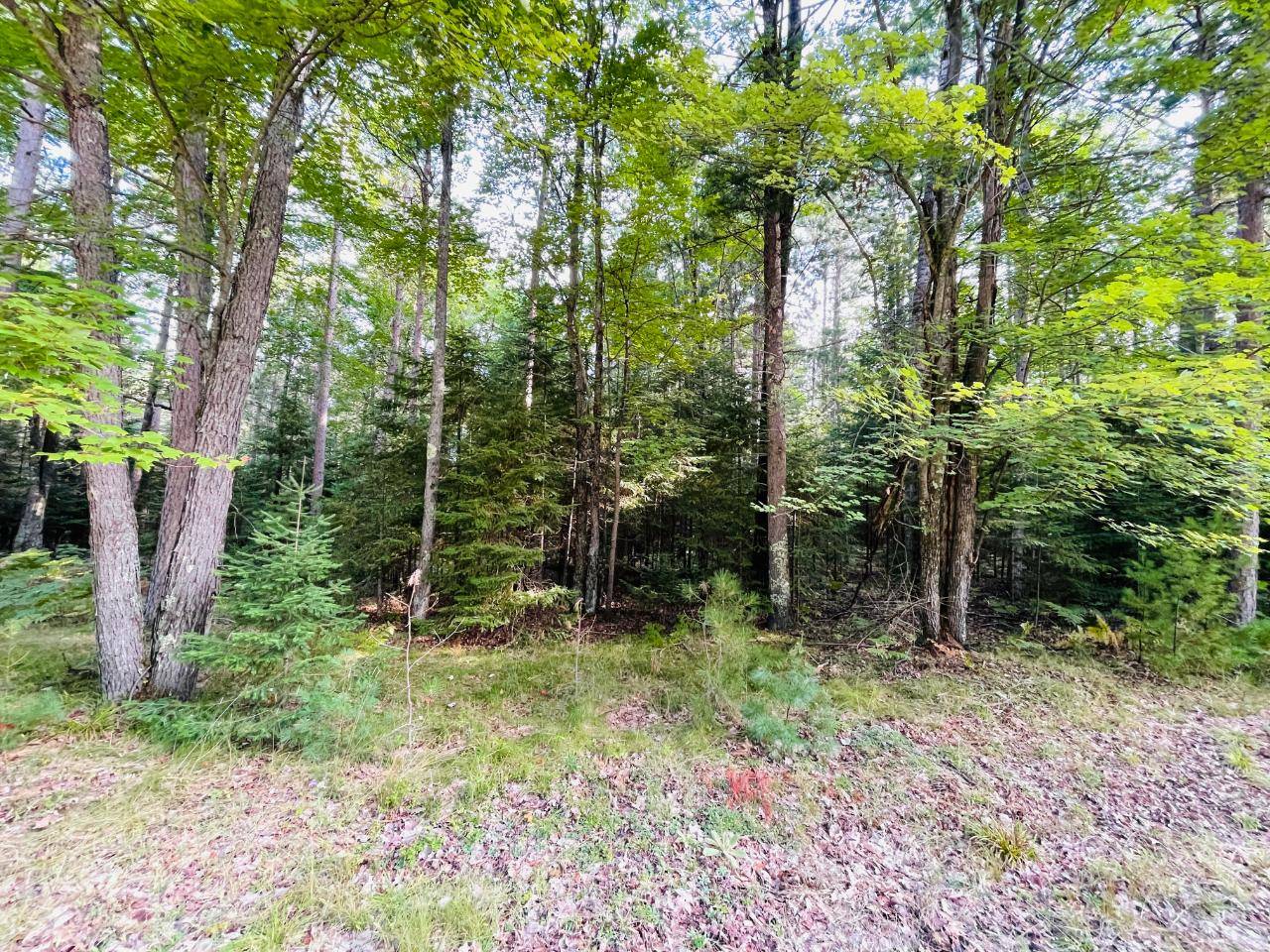Hazelhurst, WI 54531,Lot 37 BALSAM PARK BLV