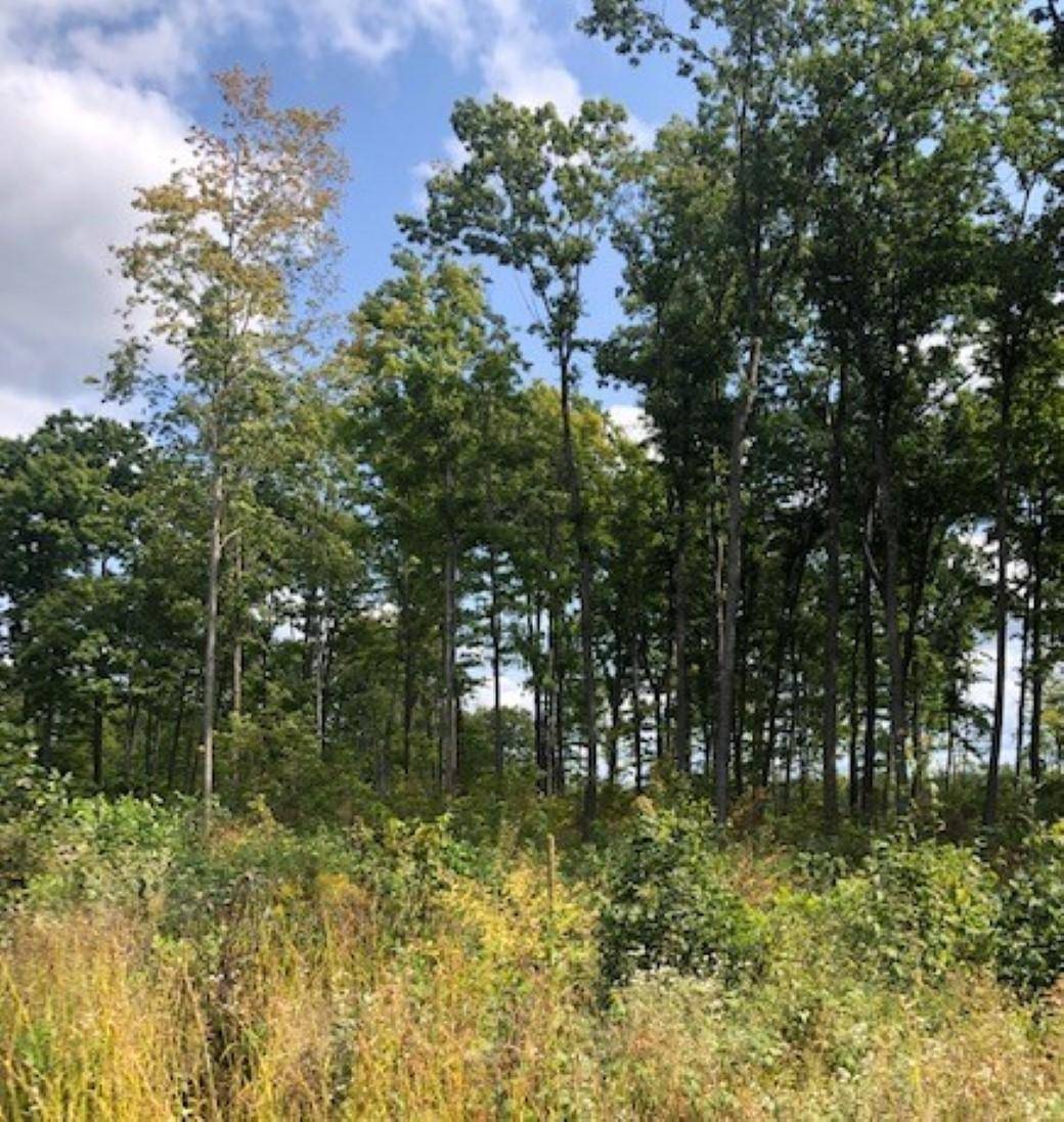 White Lake, WI 54491,80 Acres DEBAUFER LN