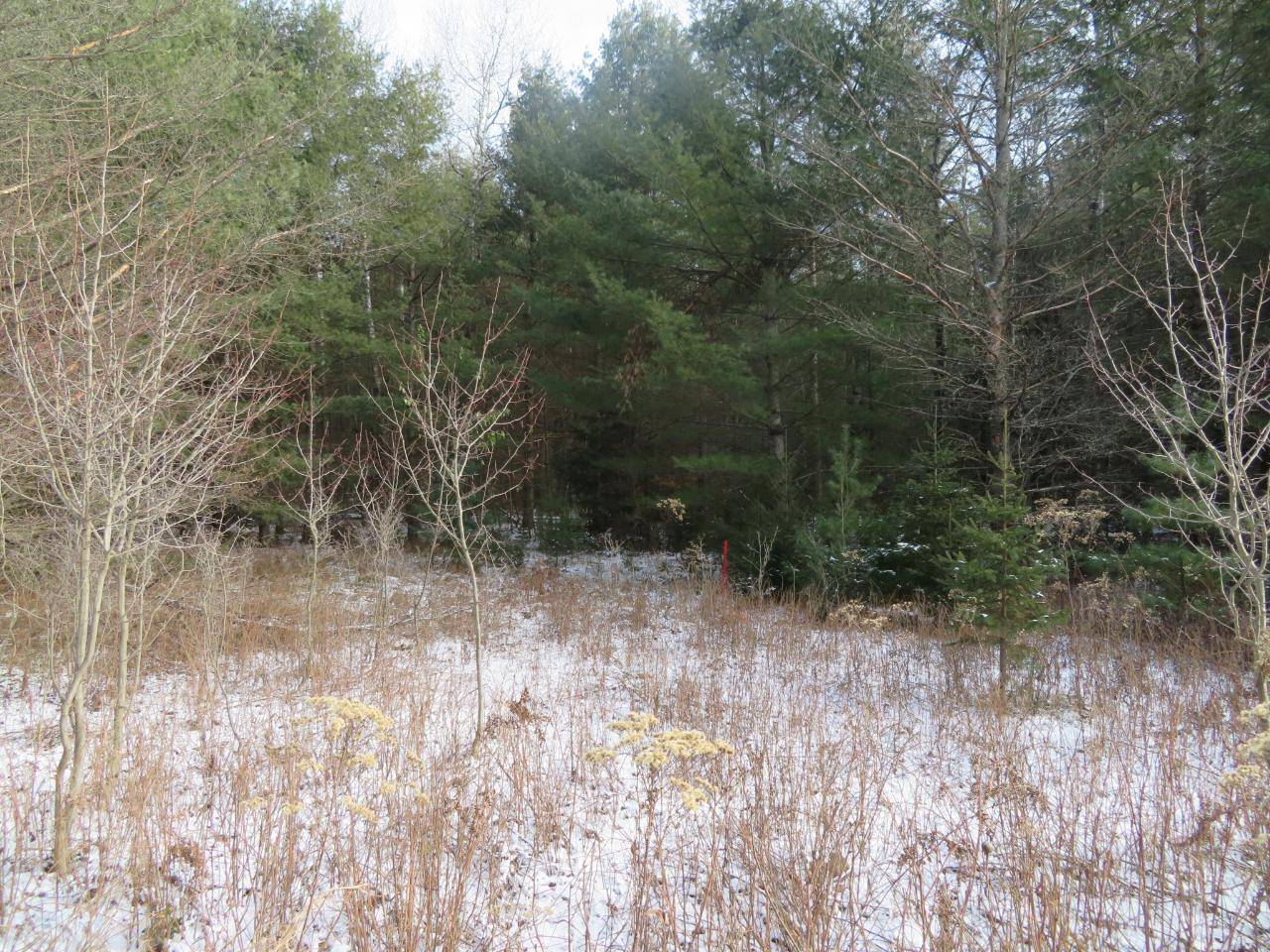 Rhinelander, WI 54501,ON POPLAR RD