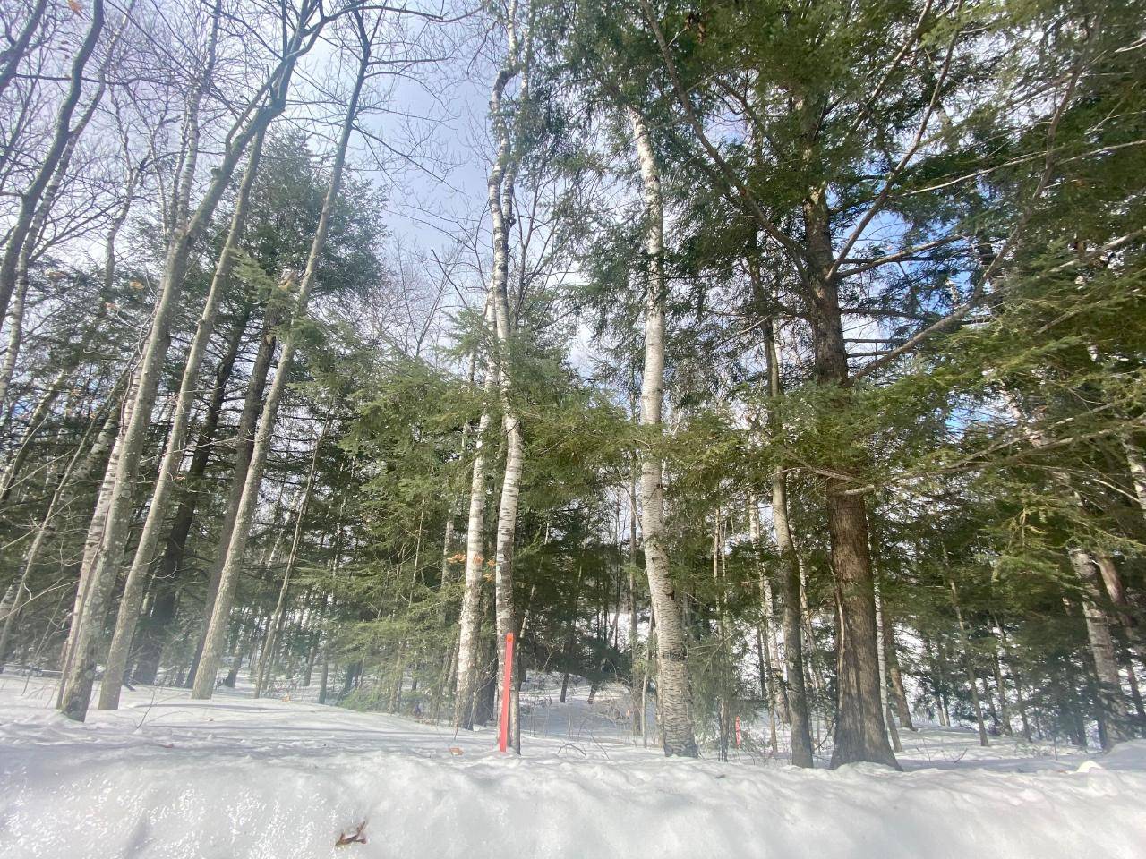 Summit Lake, WI 54485,Lot 4 BIRCH POINT RD