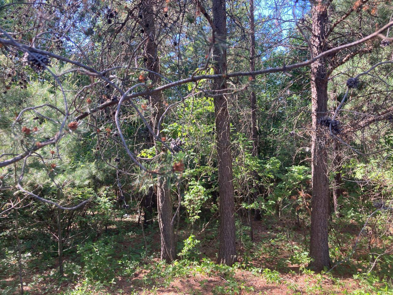 Tomahawk, WI 54487,Lot 35 PINE VIEW LN