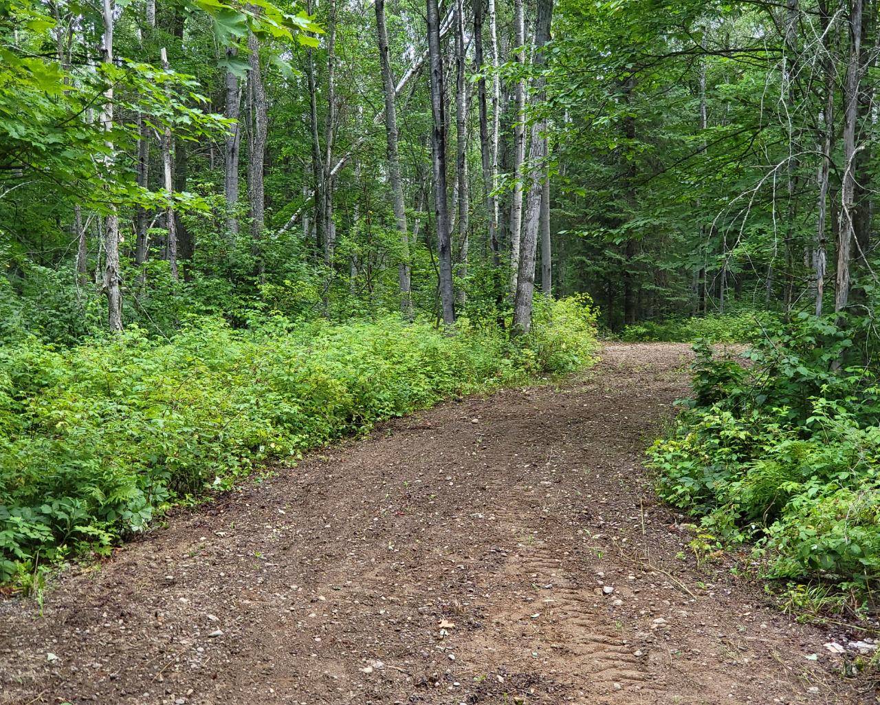 WI 54542,TBD DREAM LAKE RD #Lot 3