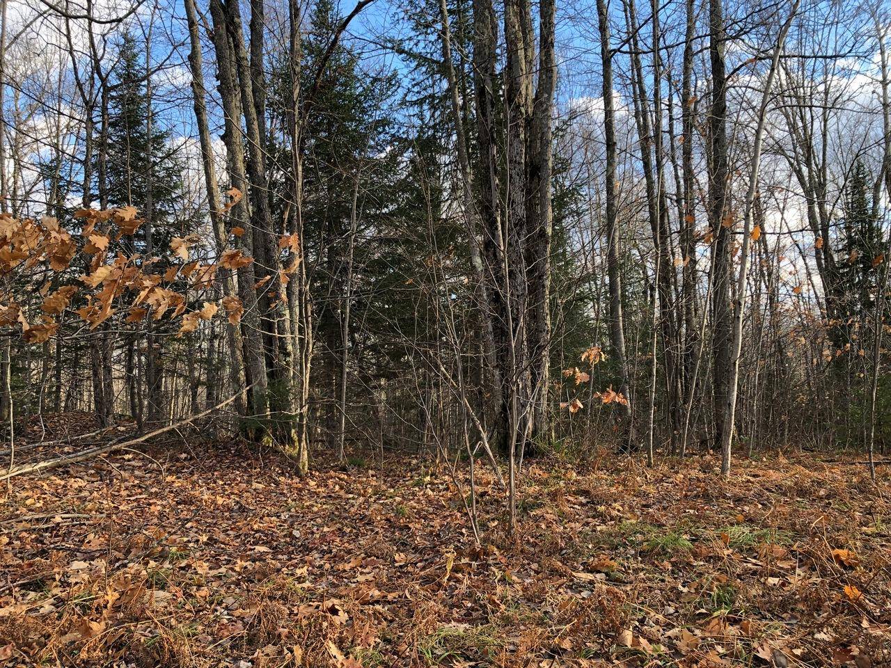 Hurley, WI 54565,Lot 43 ALPINE DR
