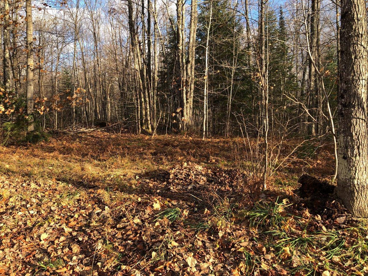 Hurley, WI 54565,Lot 43 ALPINE DR