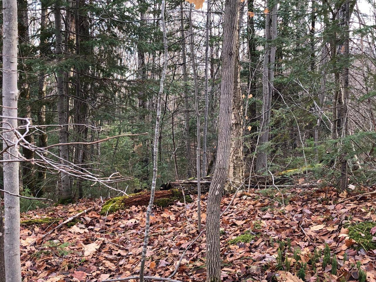 Hurley, WI 54565,Lot 42 ALPINE DR