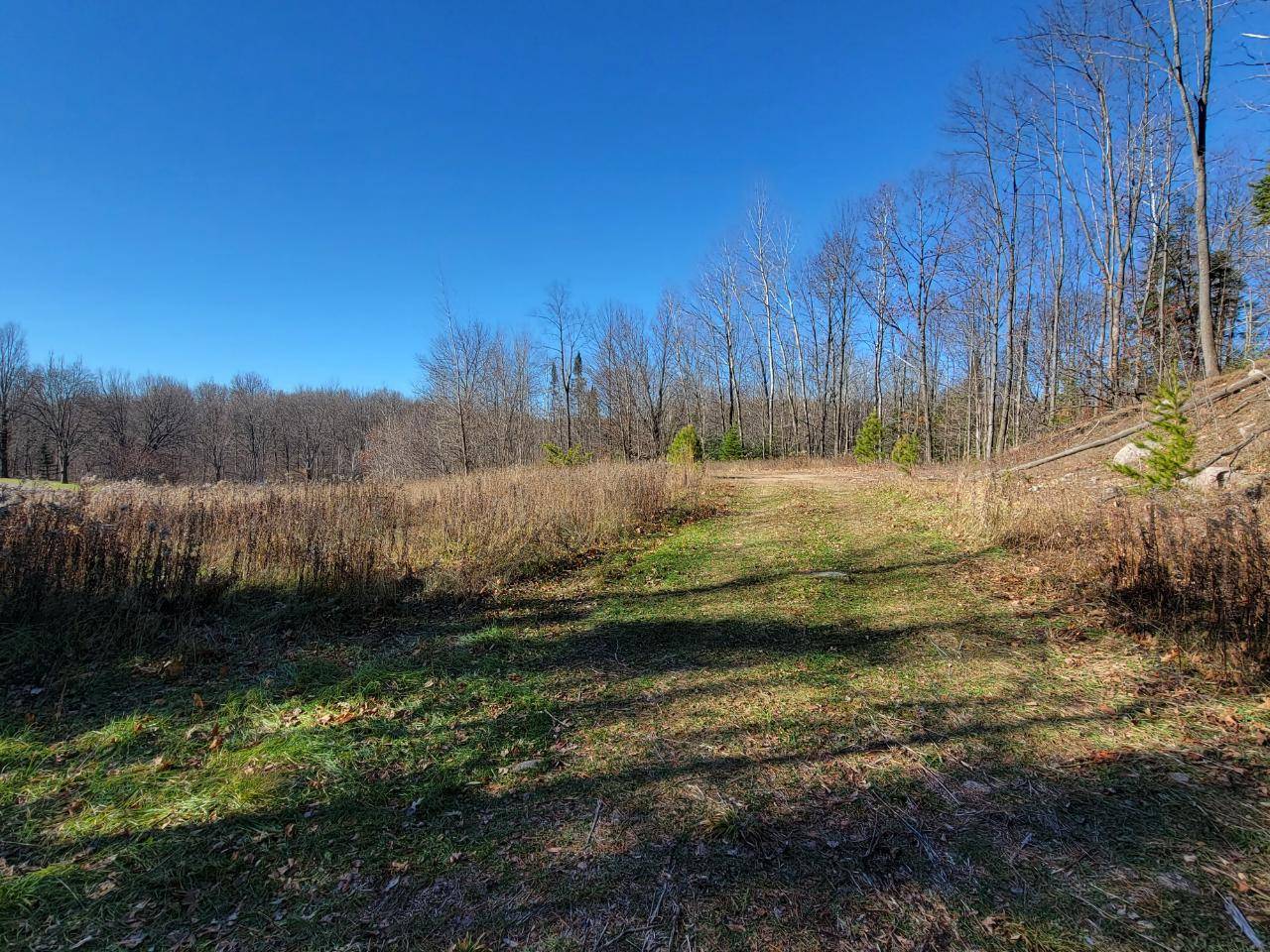 Antigo, WI 54409,ON CTH F #2 Acres