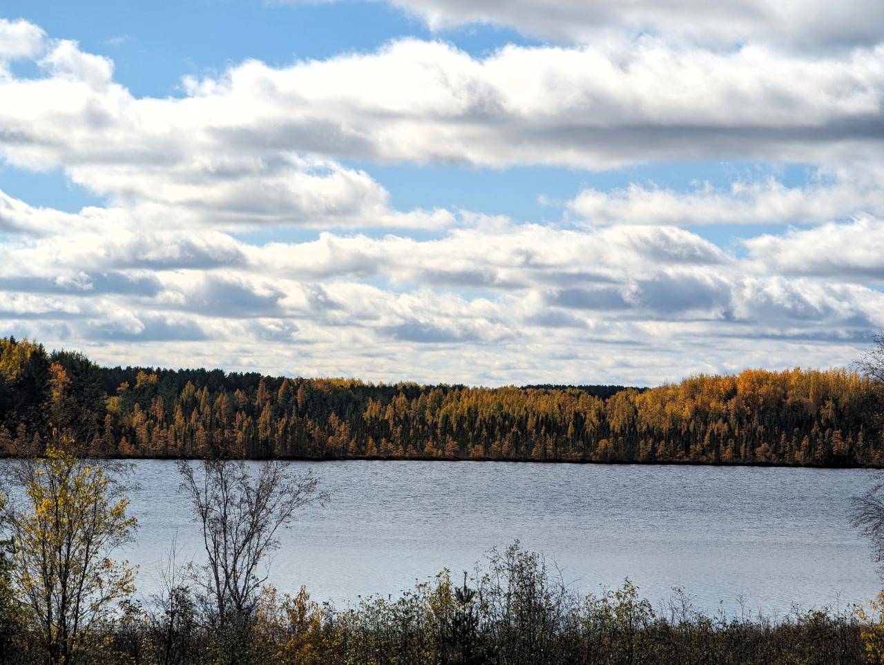 Phillips, WI 54555,ON MINTAL RD
