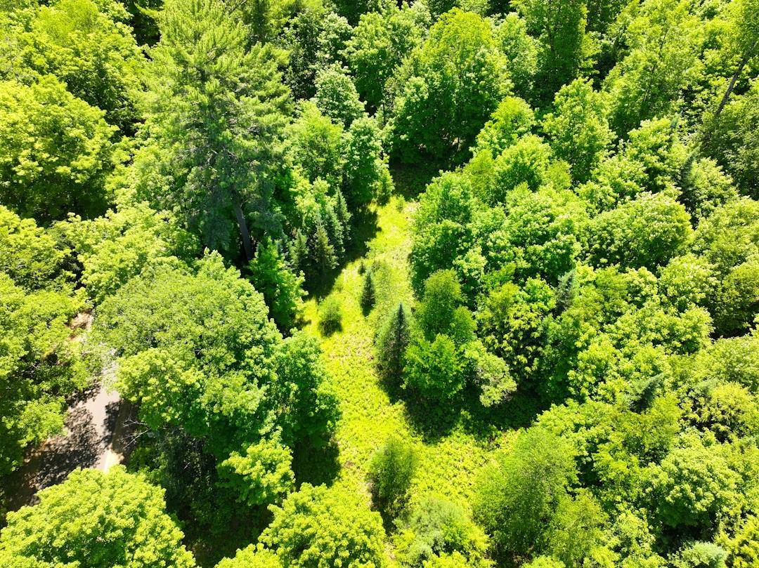 Eagle River, WI 54521,OFF MILITARY RD #Lot #4