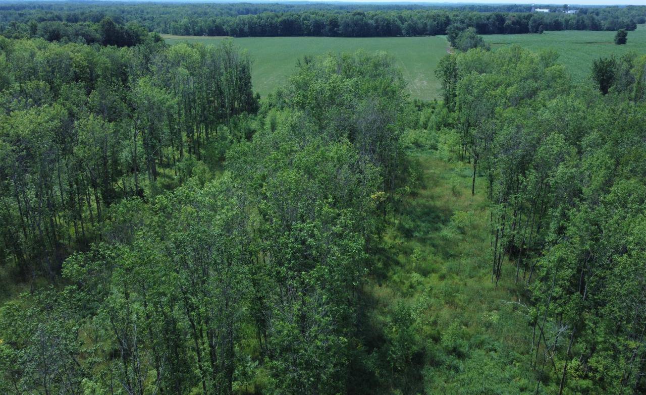 Holcombe, WI 54745,000 CTH W