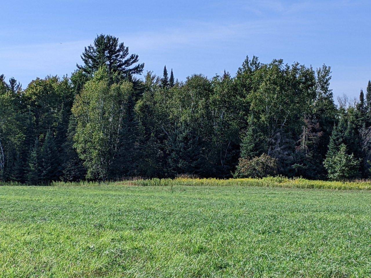 Ingram, WI 54535,N6114 GRUNSETH RD
