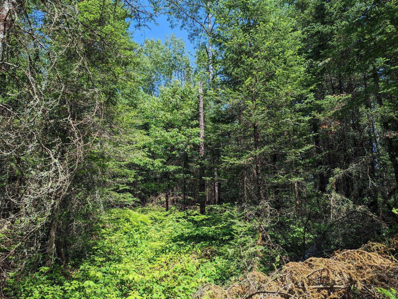 Park Falls, WI 54552,Lot 4 RIVER GLEN RD