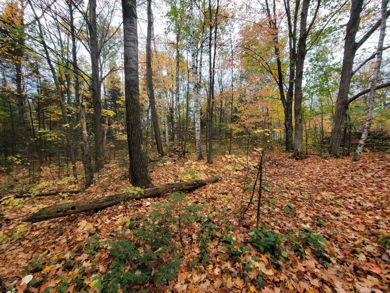 Deerbrook, WI 54424,ON CTH B #Lot 1