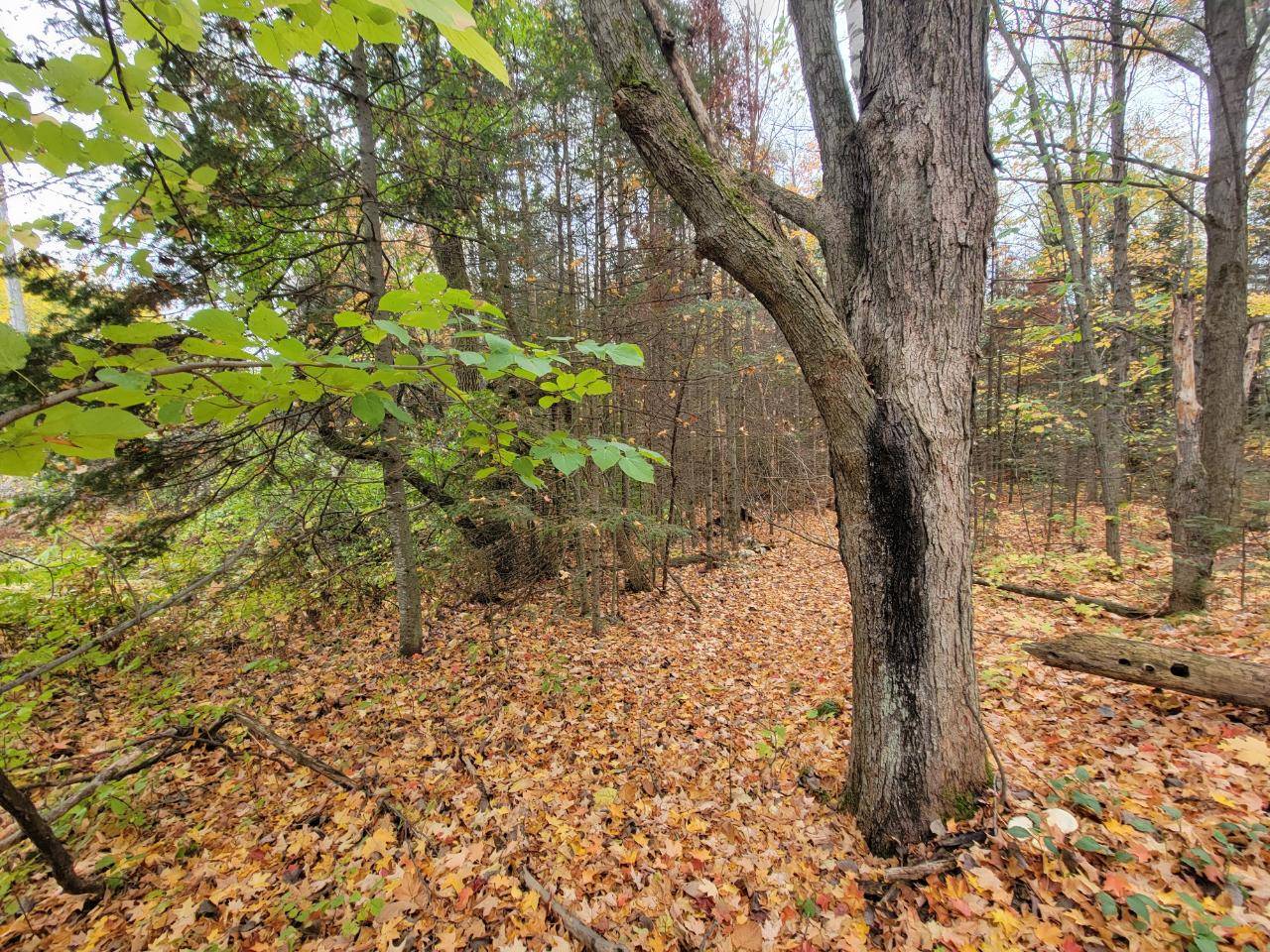 Deerbrook, WI 54424,ON CTH B #Lot 1
