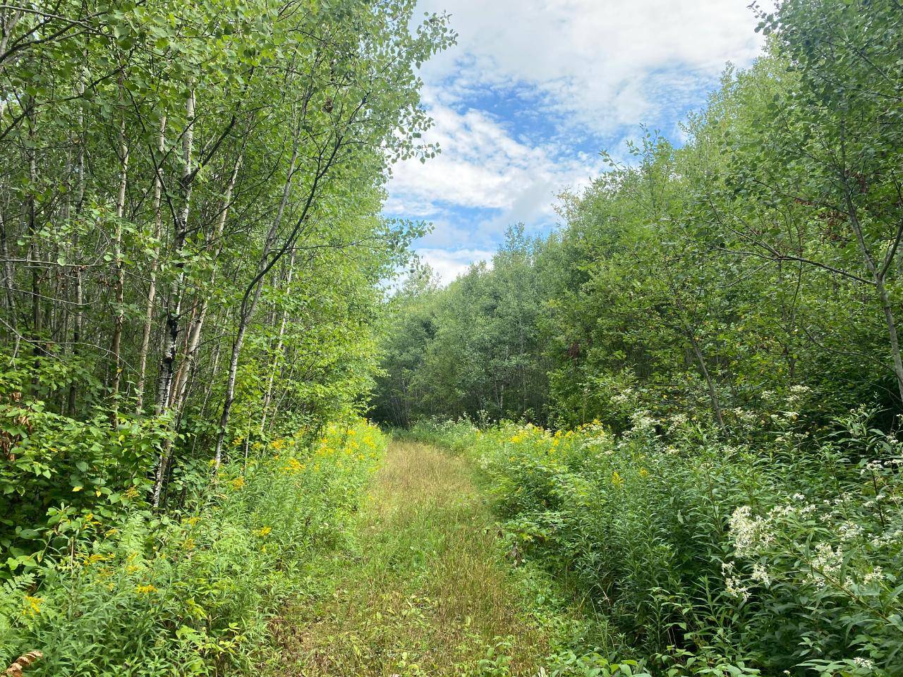 Argonne, WI 54511,NEAR SCHMIDT LN