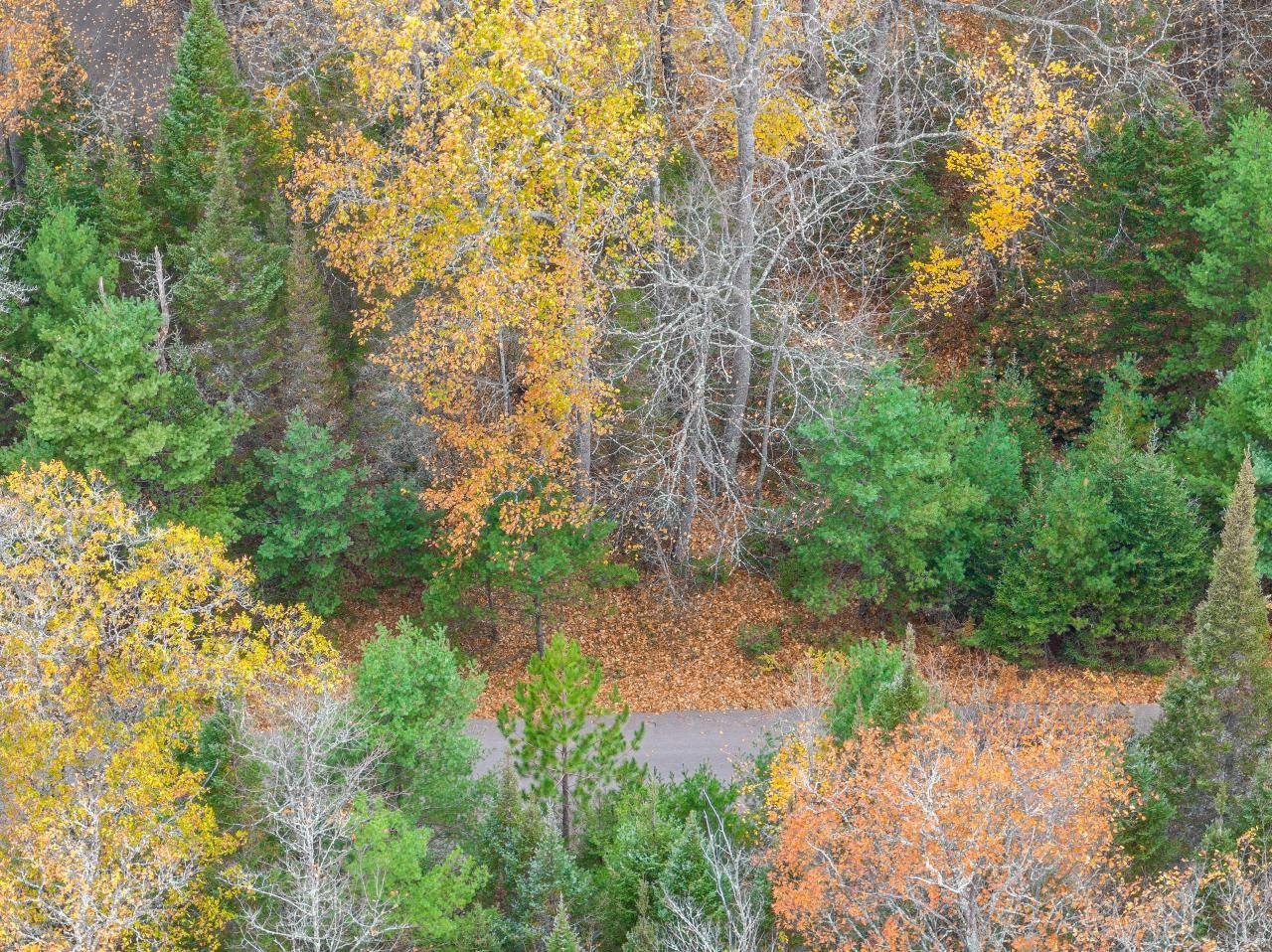 Plum Lake, WI 54548,ON EAGLES NEST CT #Lot 80