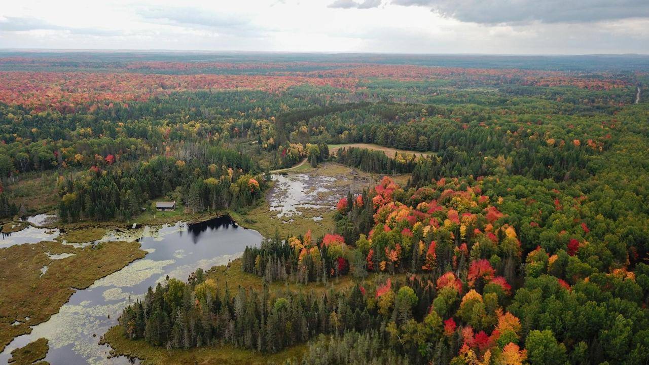 Argonne, WI 54511,9115 CARDINAL LN