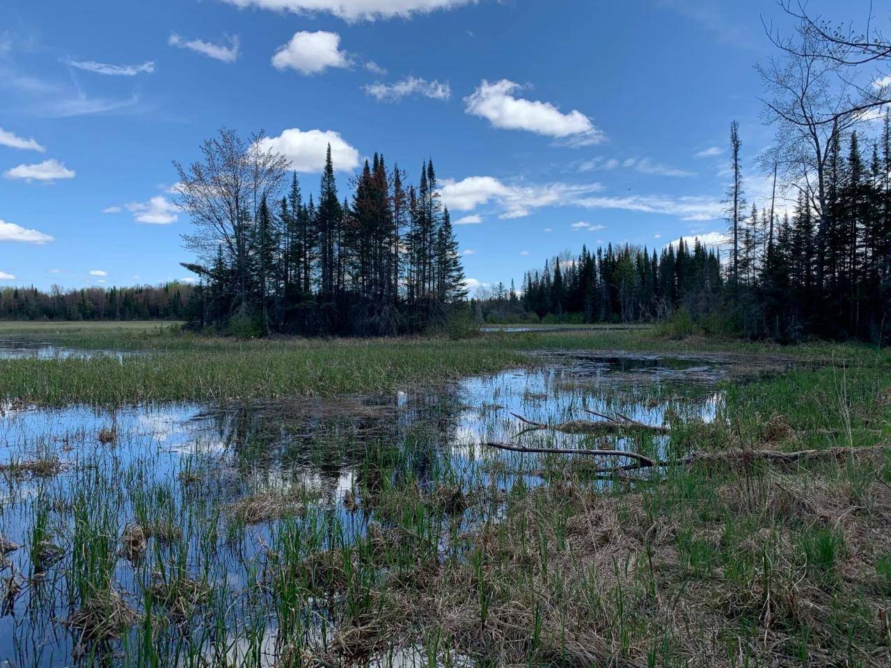 Phillips, WI 54555,W2509 TRAPPERS RD