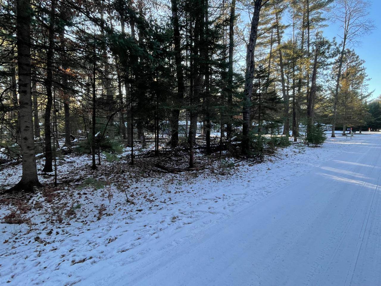 St Germain, WI 54558,Lot #104 EVERGREEN DR E