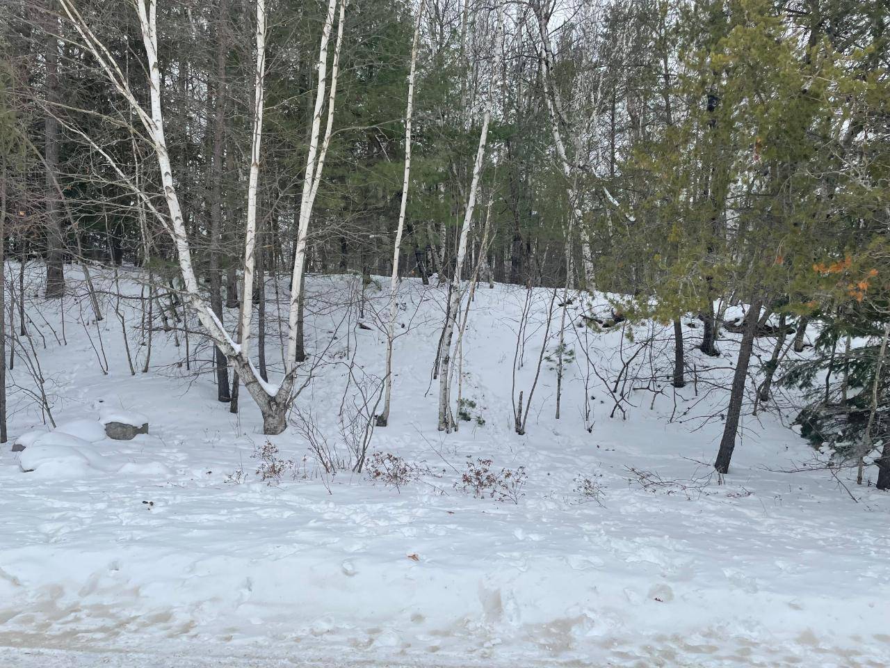 Rhinelander, WI 54501,0311 WESTHILL RD #RH-9001