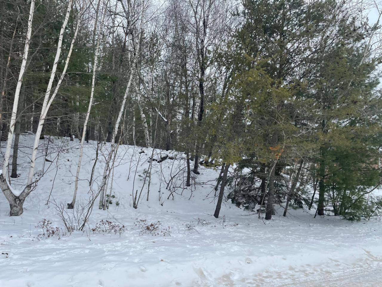 Rhinelander, WI 54501,0311 WESTHILL RD #RH-9001