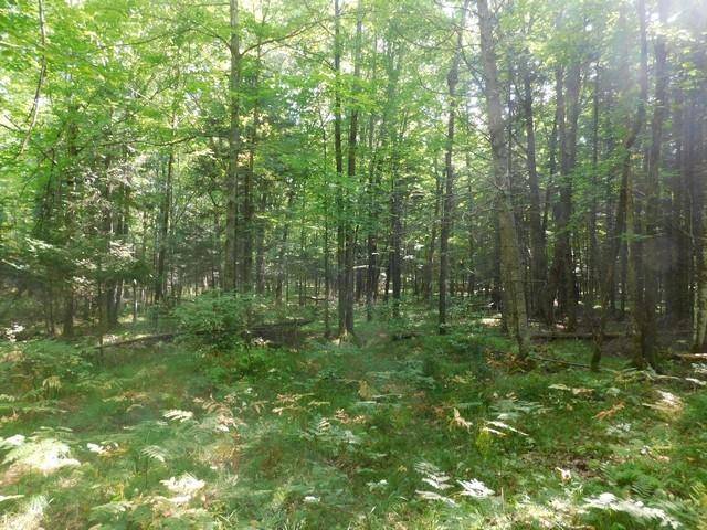 Armstrong Creek, WI 54103,20 Acres FATLA RD