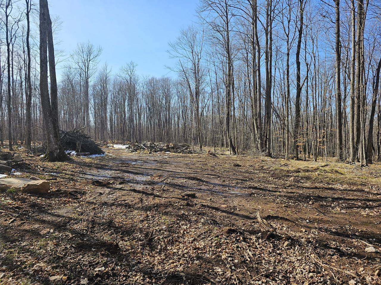 Presque Isle, WI 54557,Lot I BASSWOOD RIDGE LN