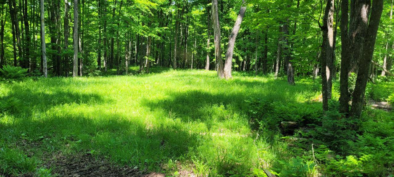 Presque Isle, WI 54557,Lot I BASSWOOD RIDGE LN