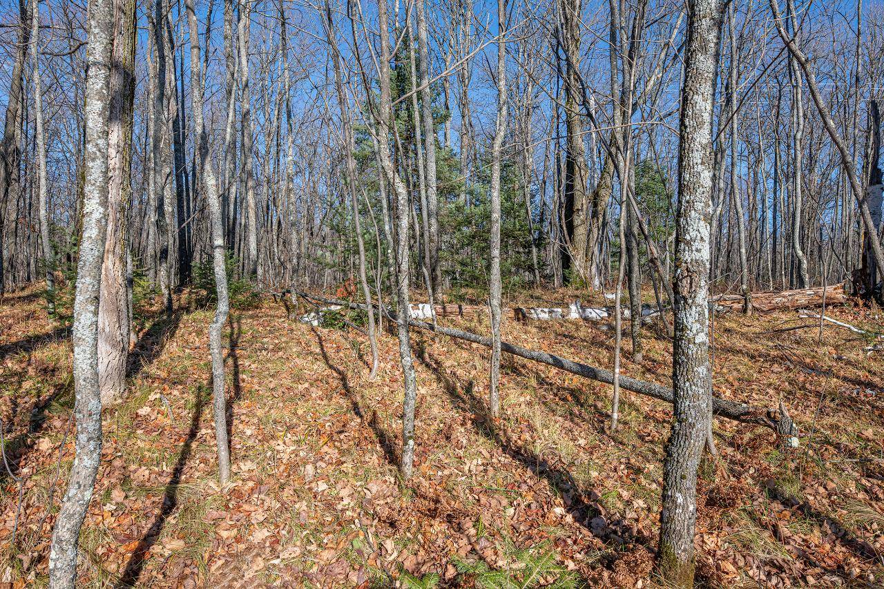 Presque Isle, WI 54557,Lot 2 CTH B