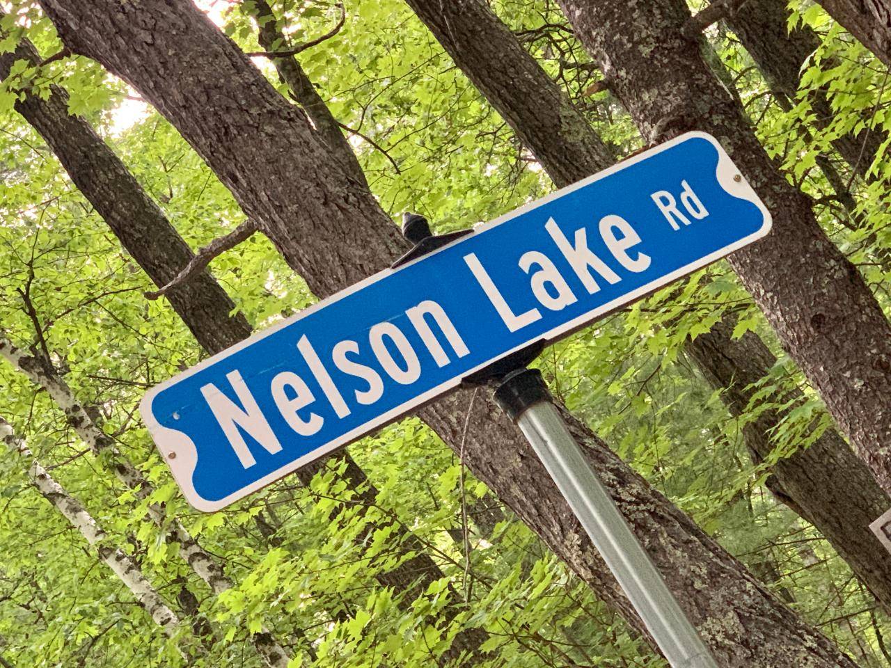 Eagle River, WI 54521,3.6 AC NELSON LAKE RD