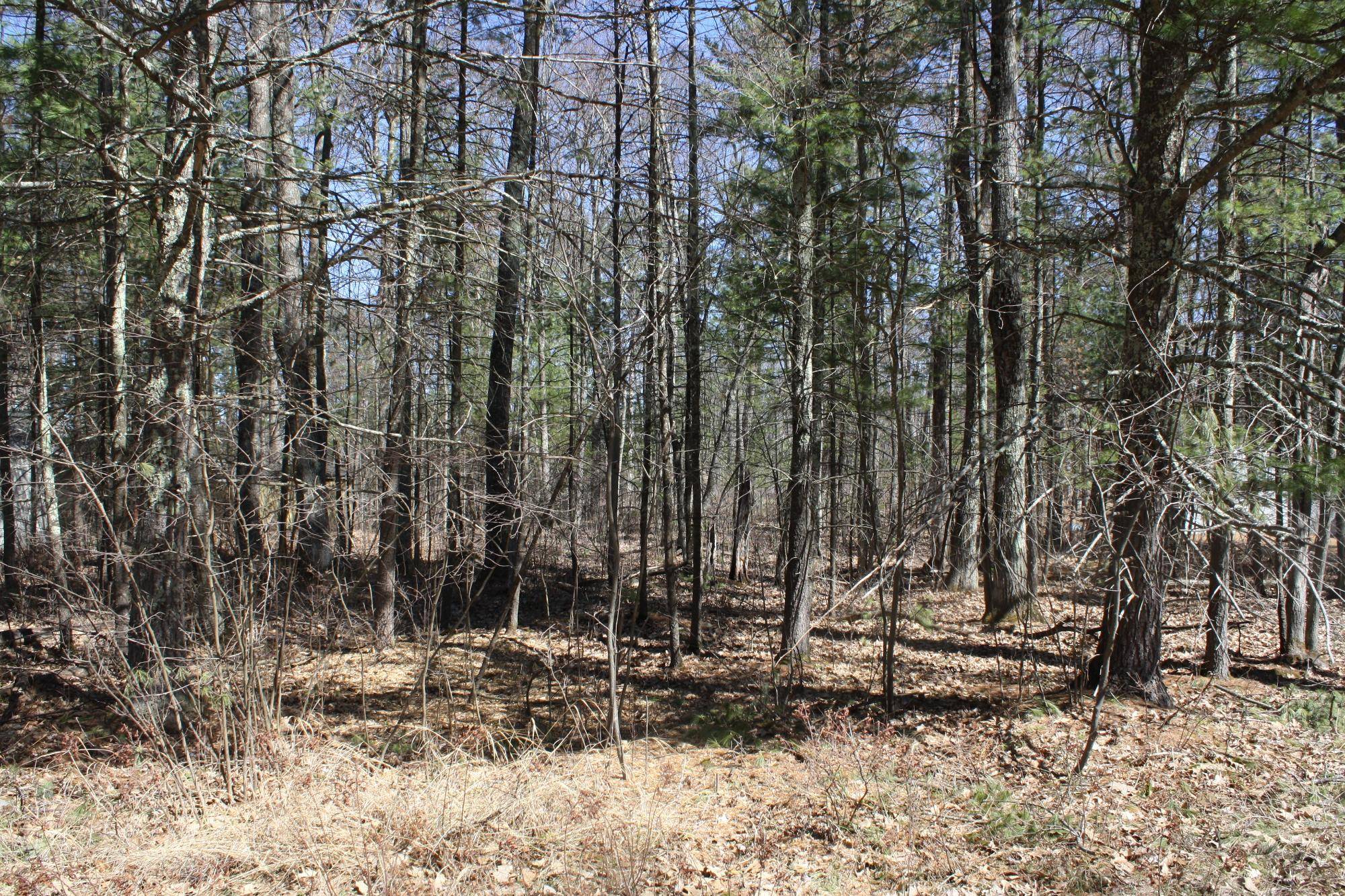 Lake Tomahawk, WI 54539,ON BASS LAKE RD #NE-1654