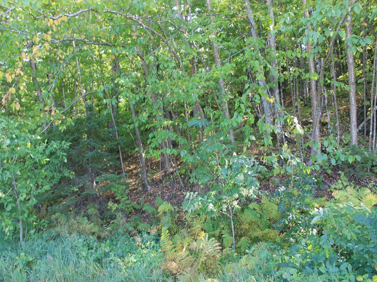 Hurley, WI 54565,Lot 35 ALPINE DR