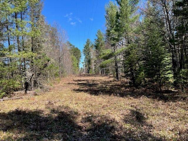 Land O' Lakes, WI 54540,ON HWY 45 #Lot 4