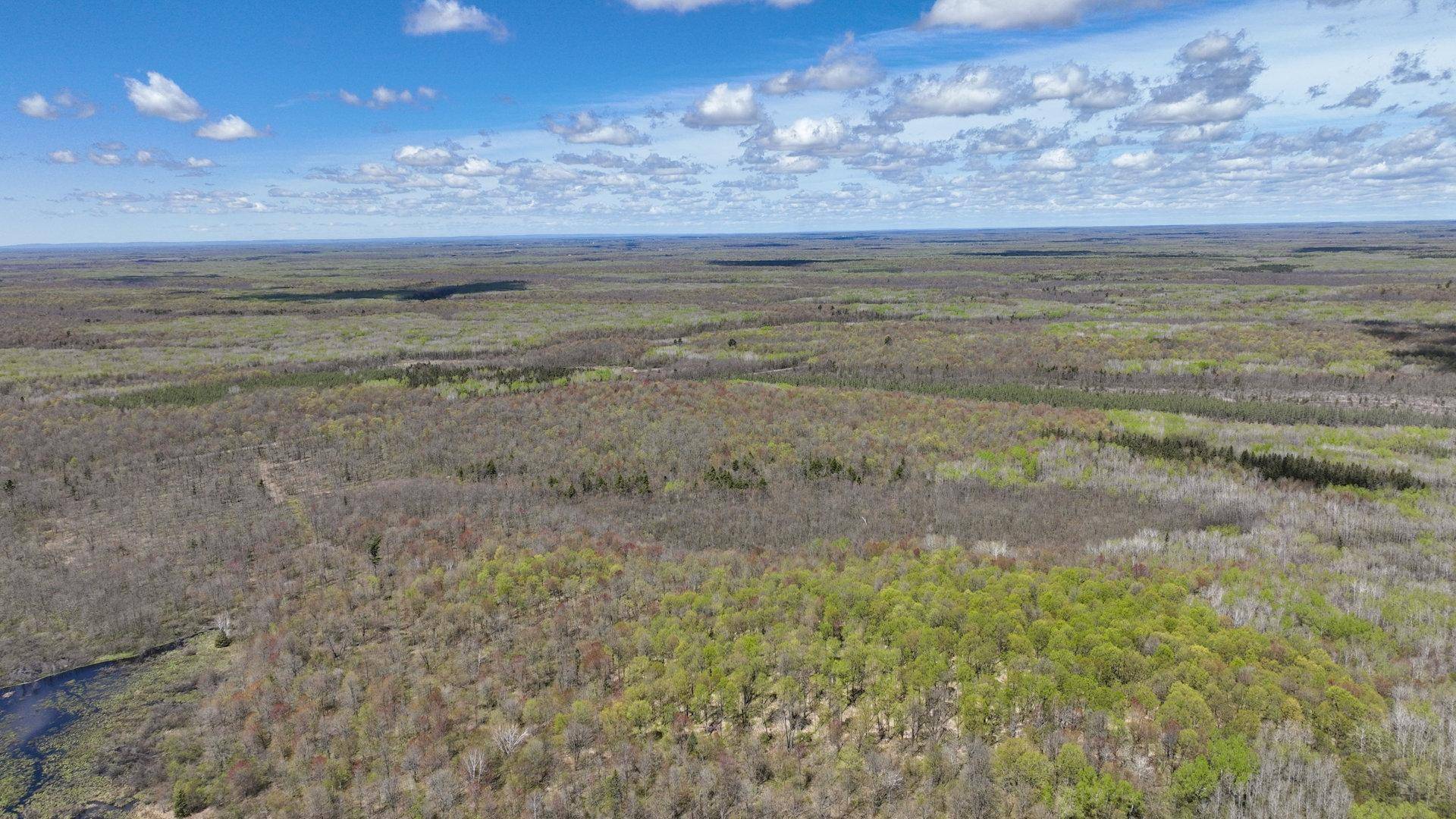 Jump River, WI 54433,80 Acres OTHER