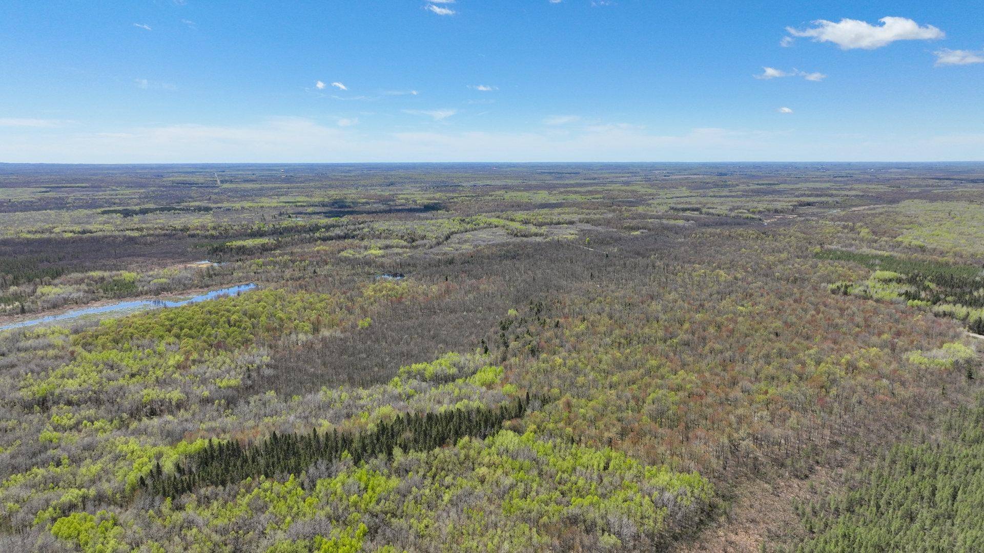 Jump River, WI 54433,80 Acres OTHER