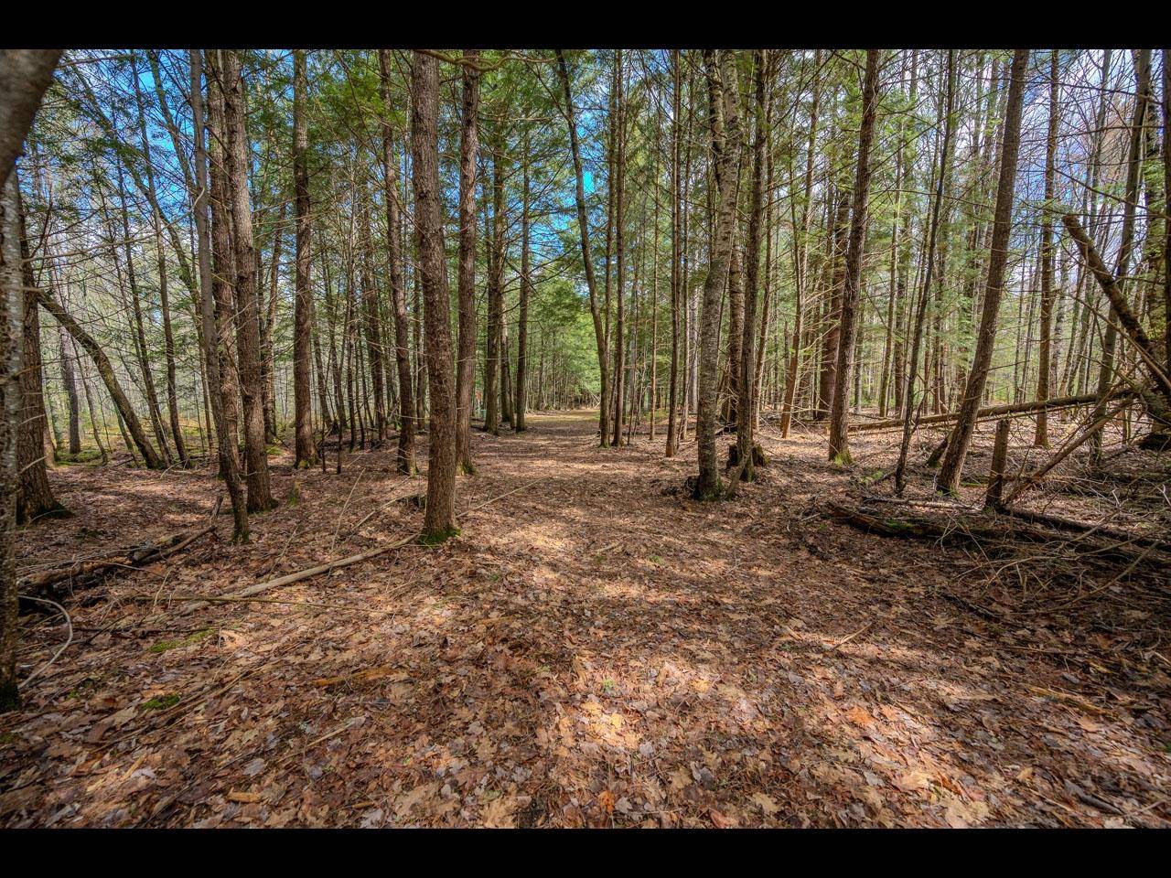 Three Lakes, WI 54521,Lot 21 BONITA PT