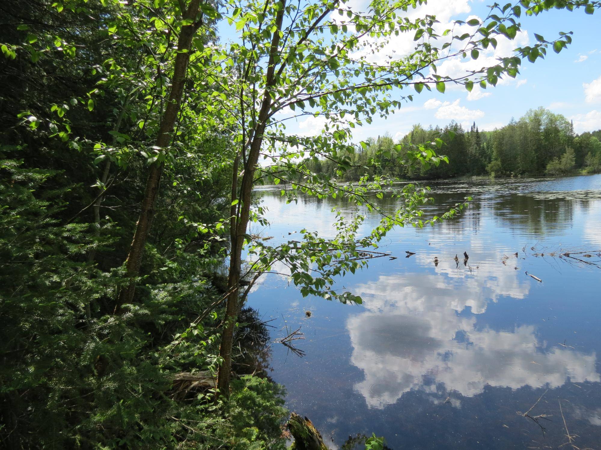 Park Falls, WI 54552,Lot 1 SAND COVE POINTE RD