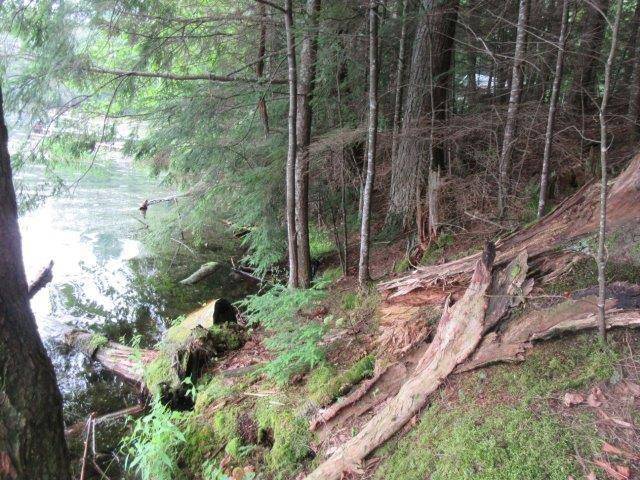 Lac Du Flambeau, WI 54538,ON ARBOR LN #Lot 2