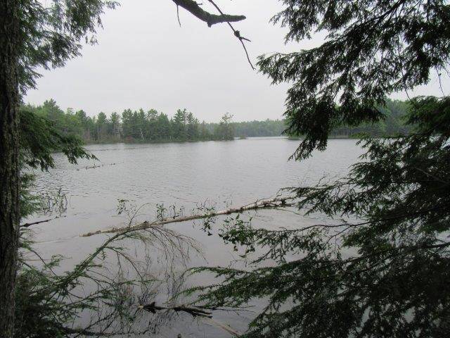 WI 54538,ON ARBOR LN #Lot 1