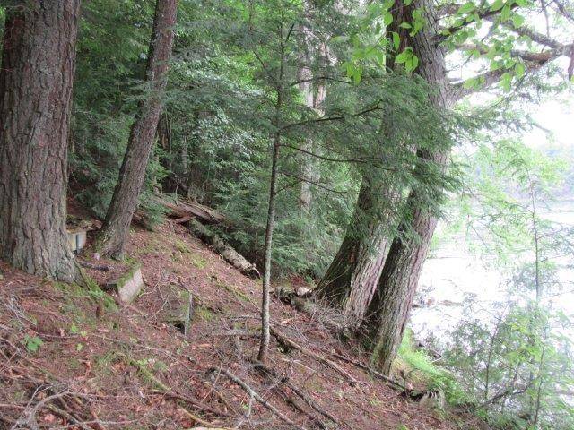 WI 54538,ON ARBOR LN #Lot 1
