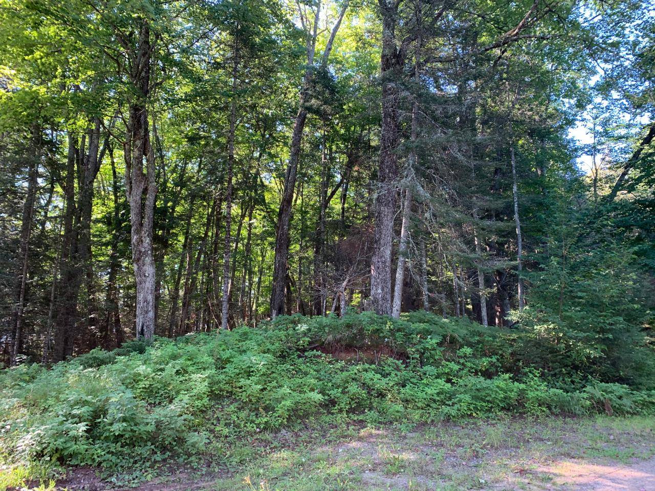 Land O' Lakes, WI 54540,Off KNUTH LN #lot 4