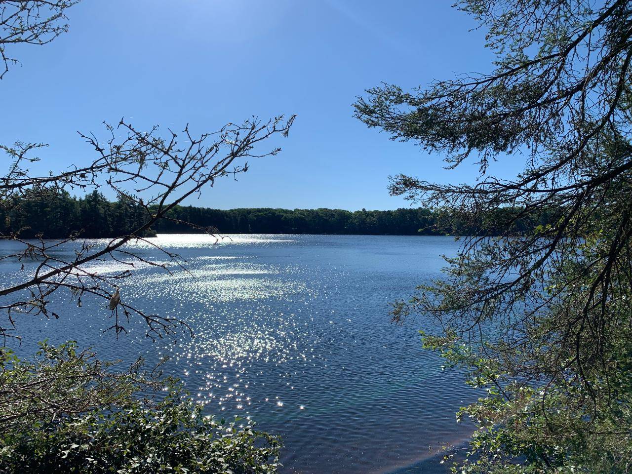 Land O' Lakes, WI 54540,Off KNUTH LN #lot 5 & 6