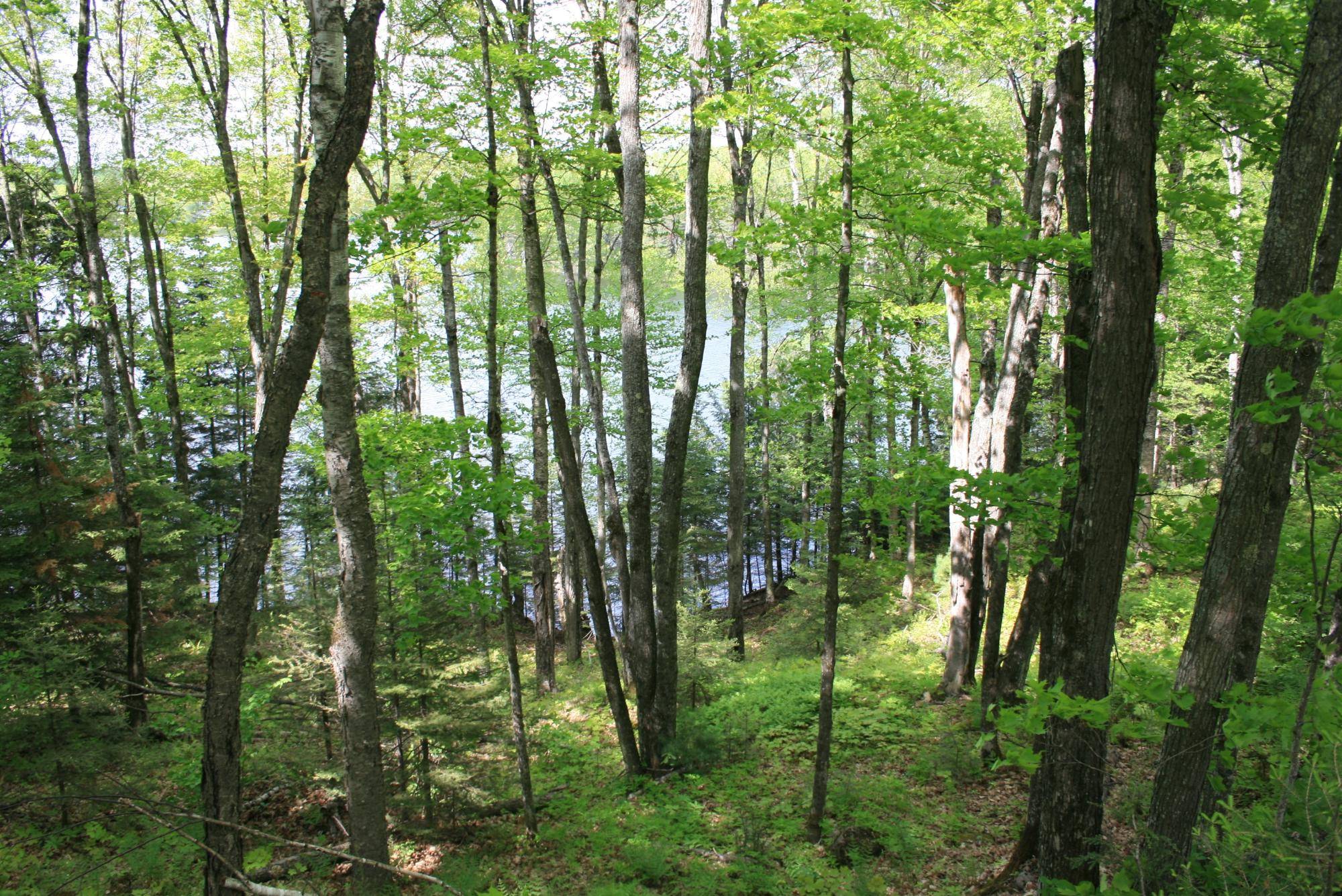 Watersmeet, MI 49969,23535 SUCKER LAKE RD #4, 6A, 6B
