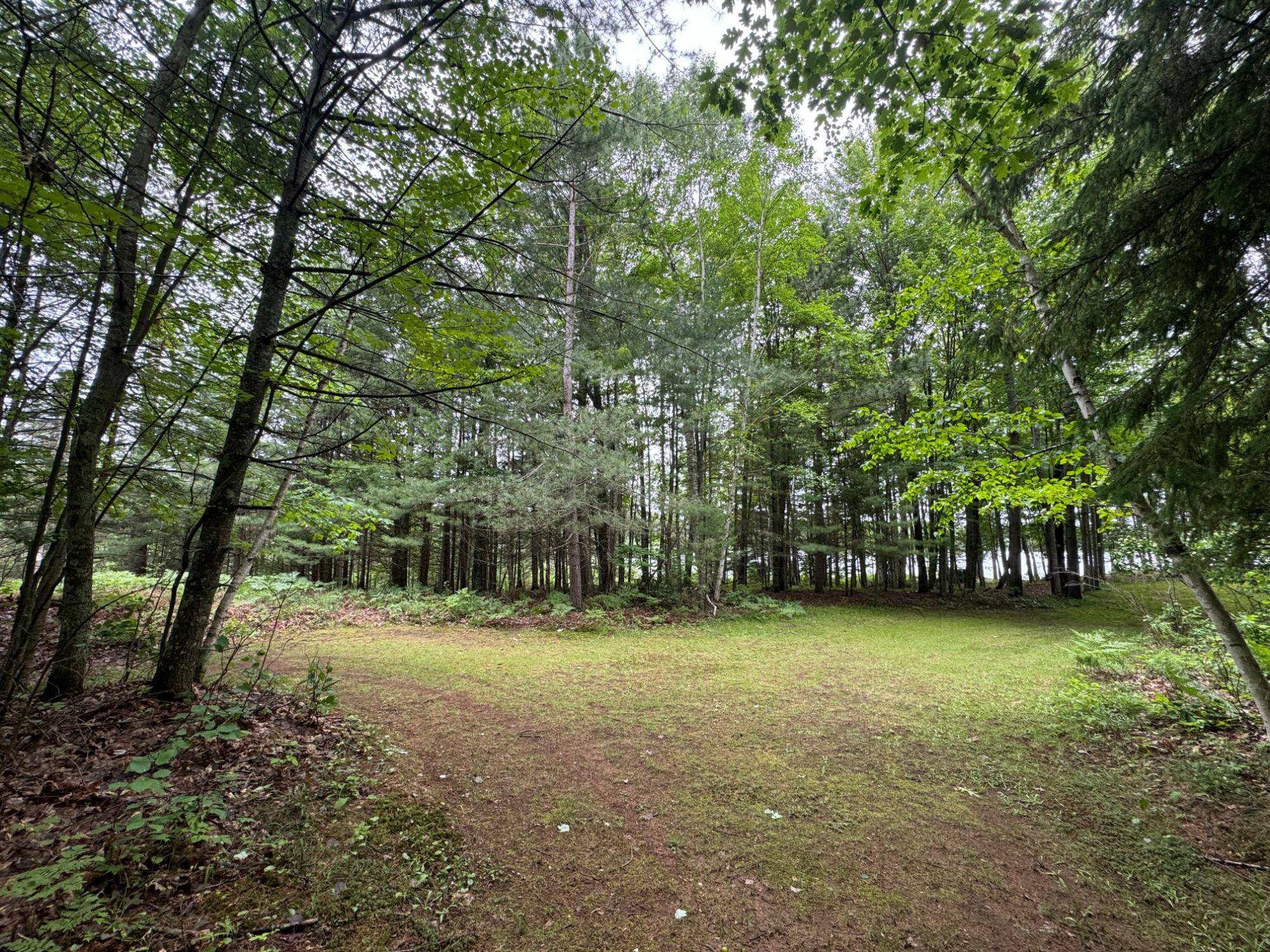 Hazelhurst, WI 54531,Lot 2 WALSH RD