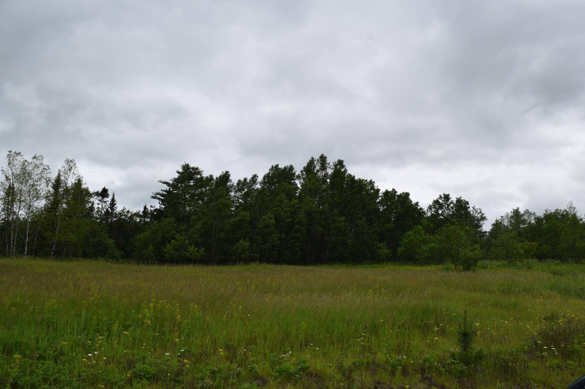 Rhinelander, WI 54501,Off PELICAN RANCH RD #6.2Ac
